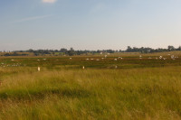 t_img_9654-579