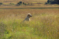 t_img_9930-767